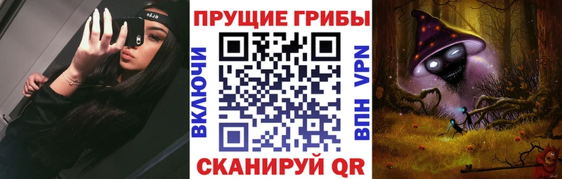 Галлюциногенные грибы Psilocybe  купить наркоту  кракен сайт  Сертолово 